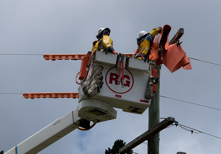 Electrical Insulation Protection